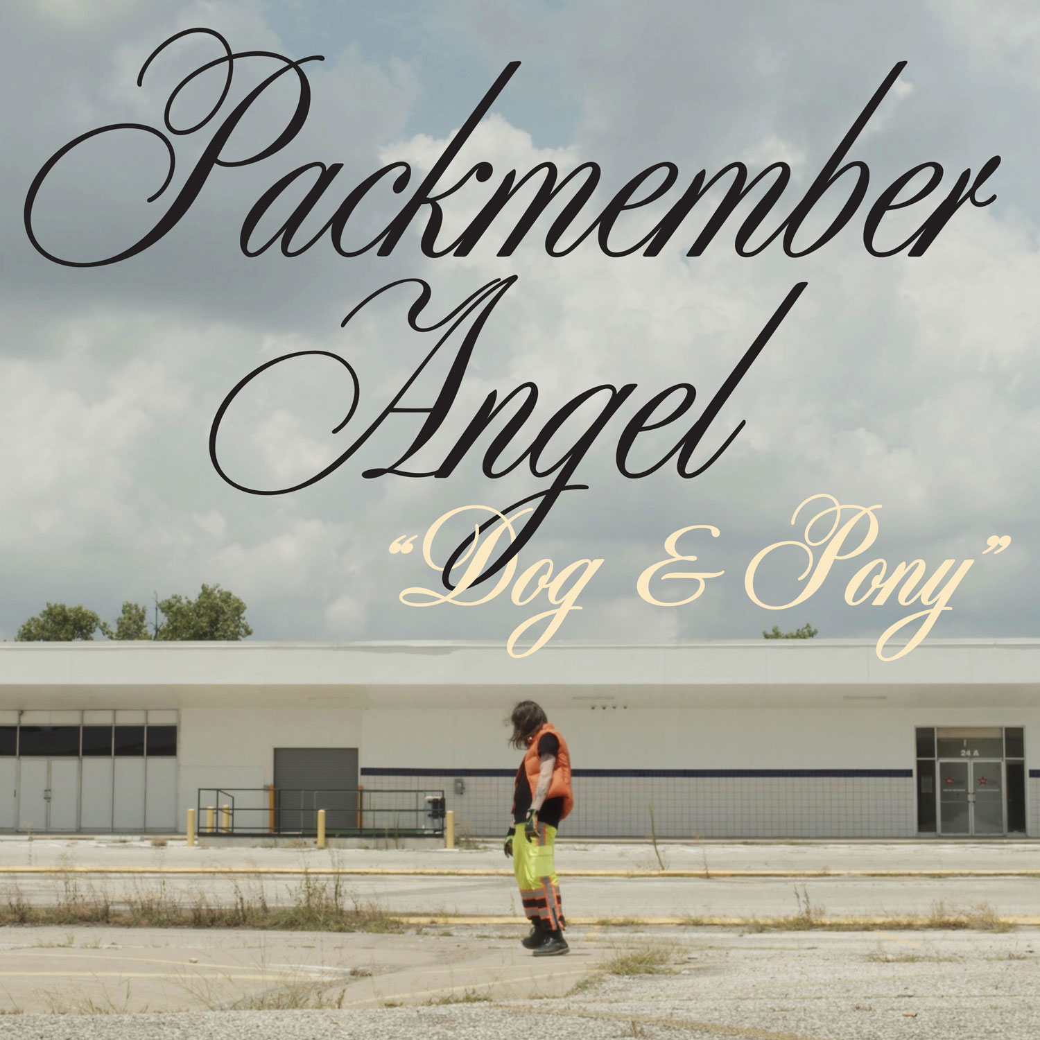 Album artwork for Packmember Angel – "Dog & Pony"